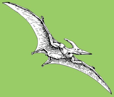 Pteranodon
